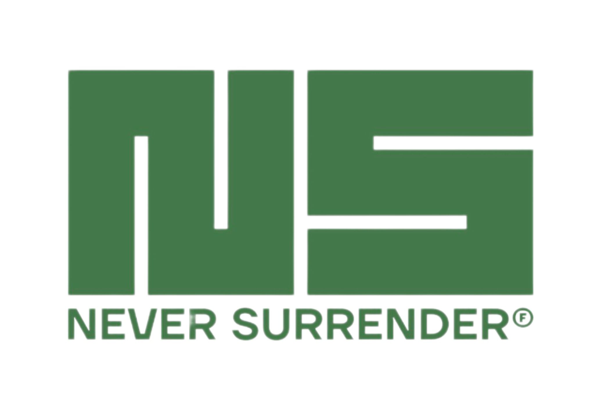 Never Surrender